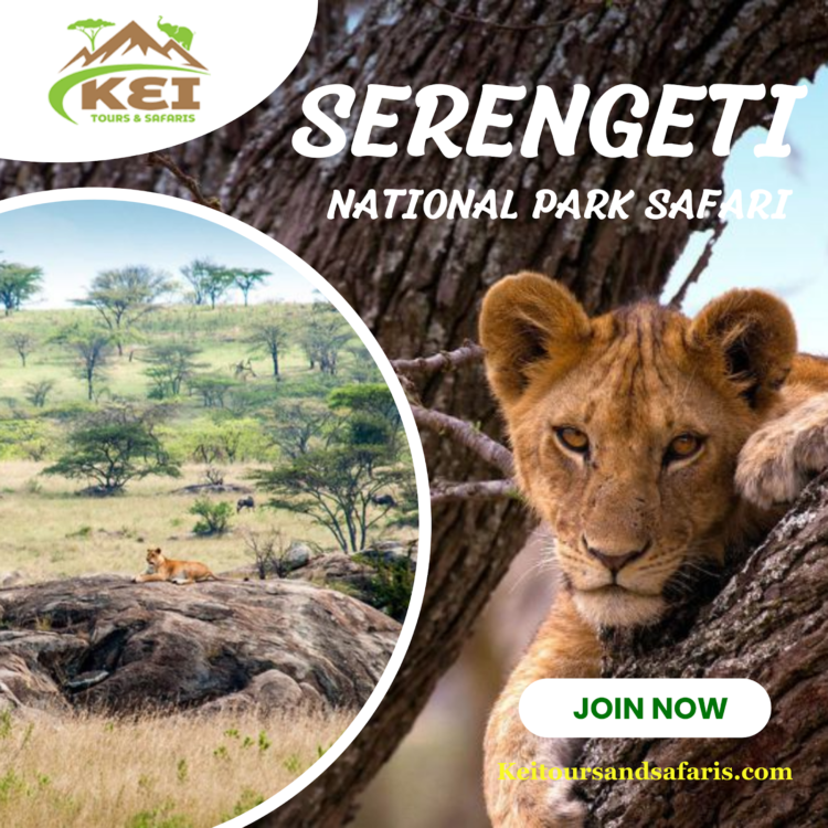 Serengeti National Park safari