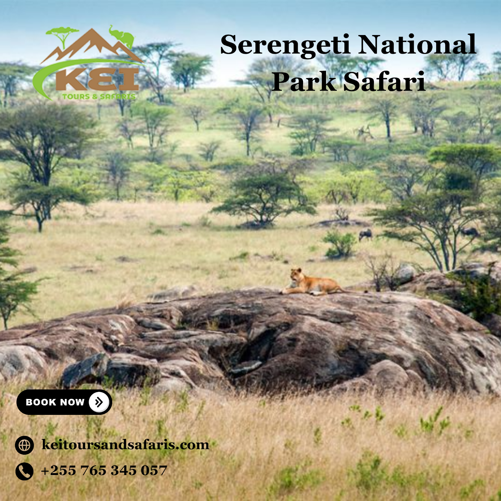 Serengeti National Park safari