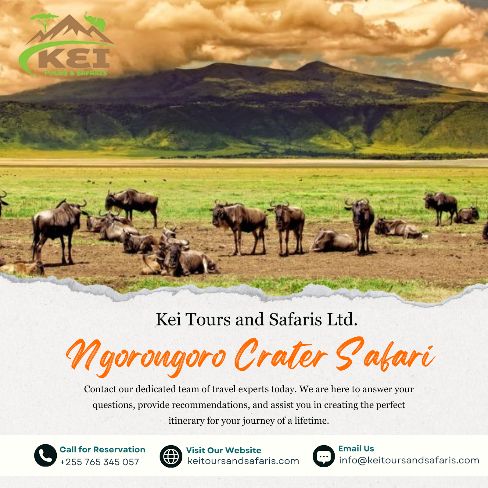 Ngorongoro Crater safari