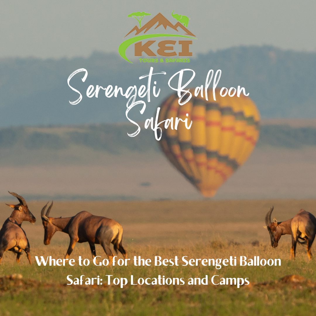 Serengeti Balloon Safari