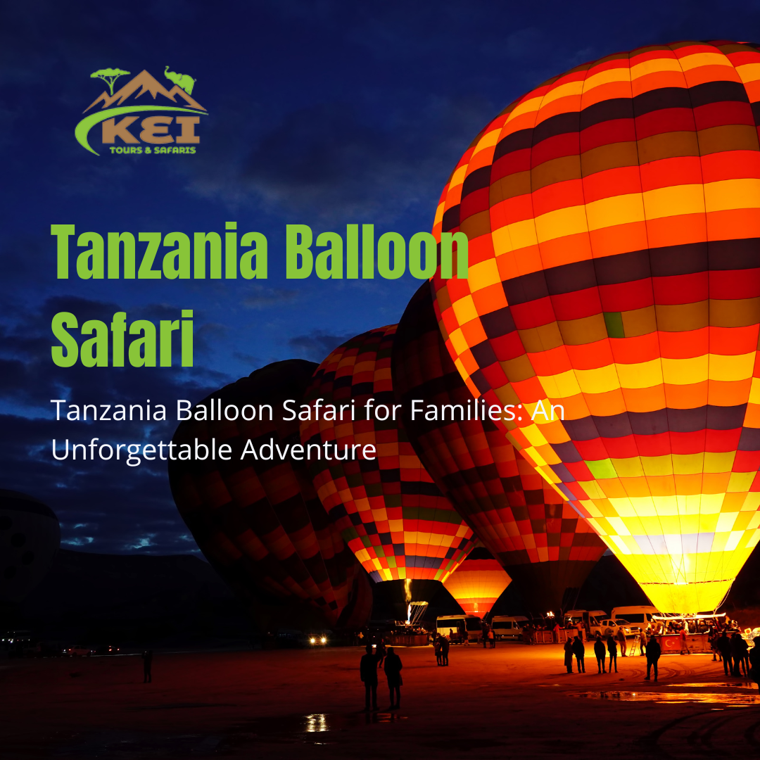 Tanzania Balloon Safari