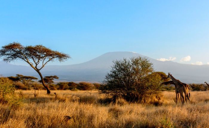 Kilimanjaro National Park