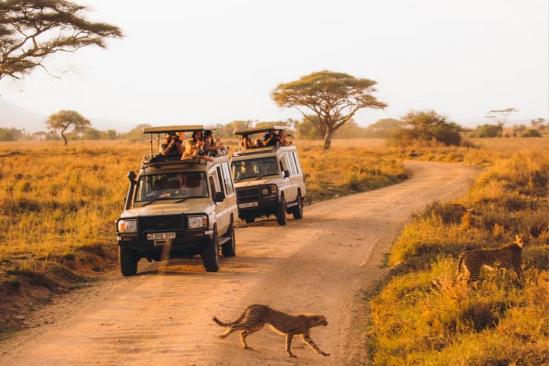 6 Days Ultimate Tanzania Safari