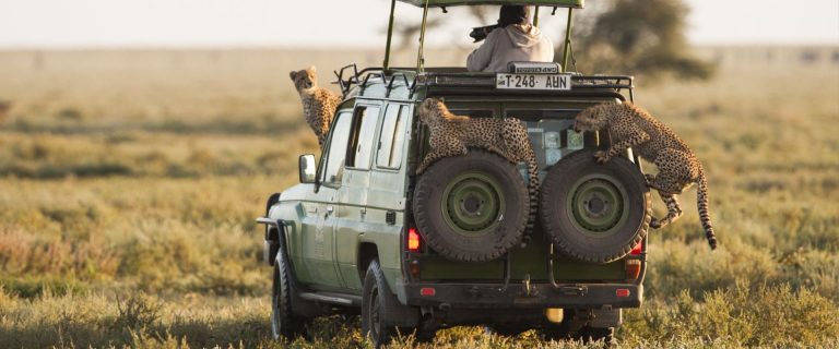 3 Days Tanzania Safari