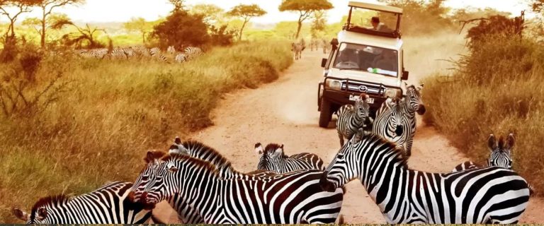 4 Days Tanzania Wildlife Safari