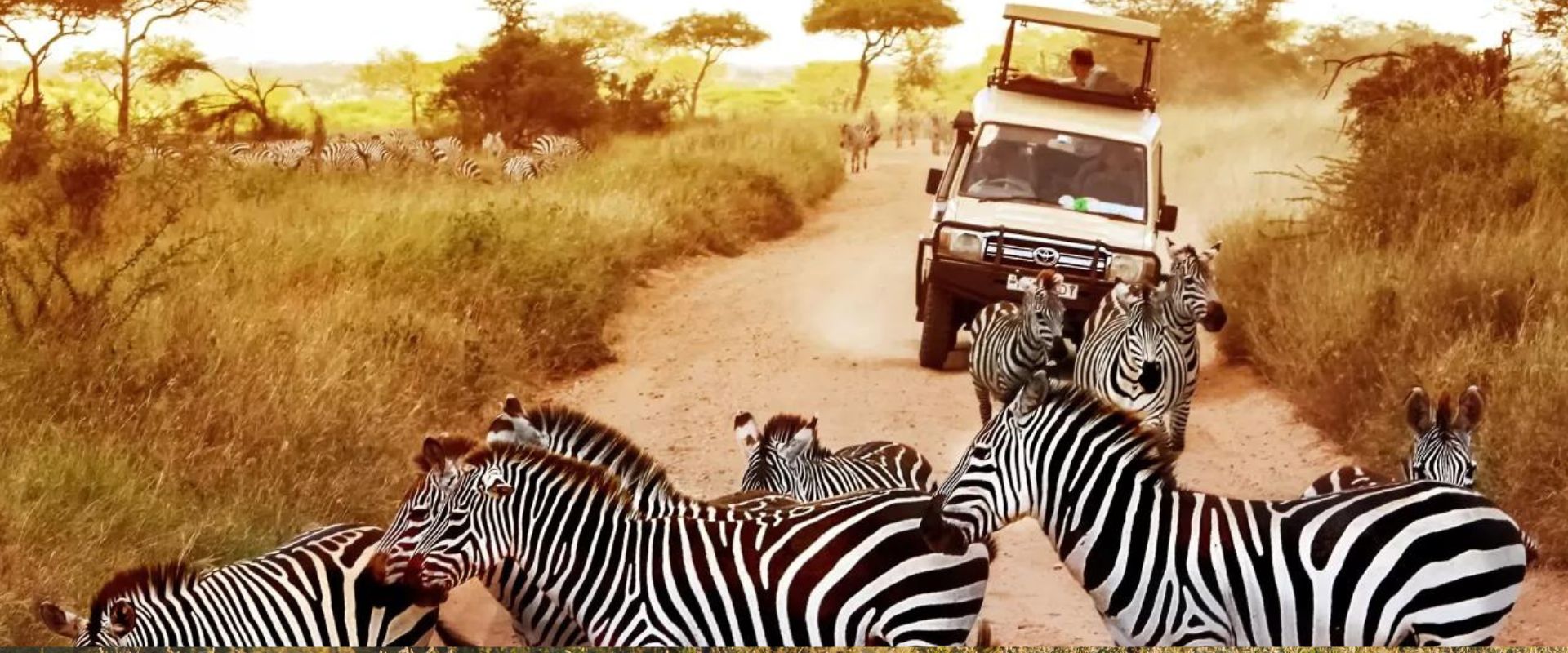 4 Days Tanzania Wildlife Safari