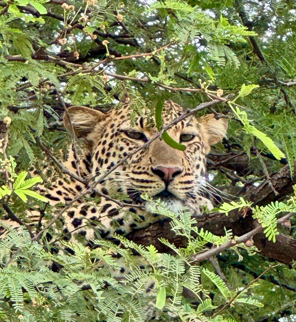 Lake Manyara National Park