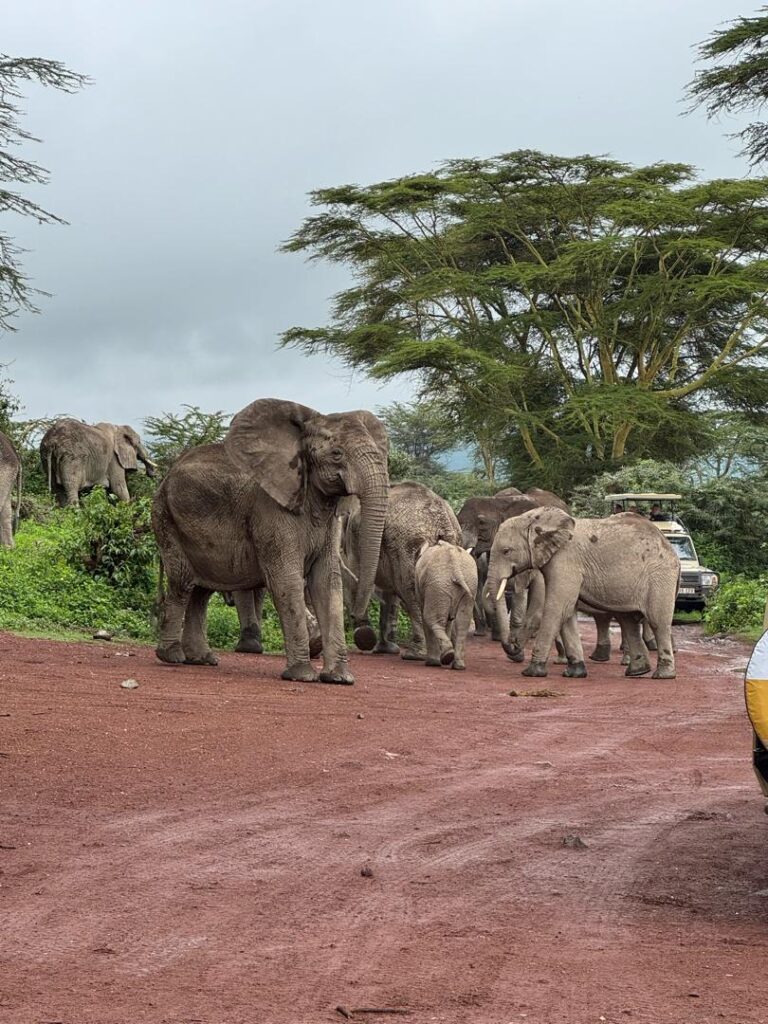 Tarangire National Park