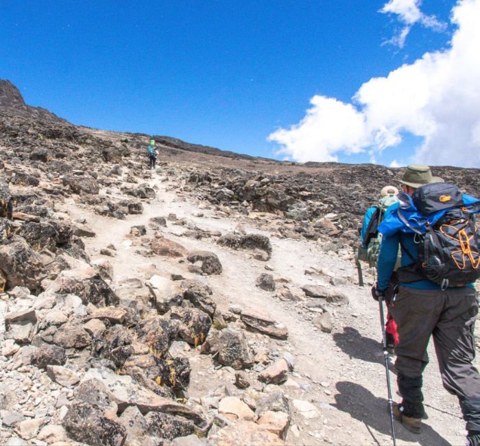 Mount Kilimanjaro Climbing