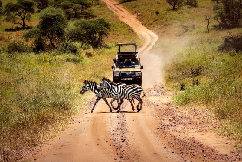 5 Days Tanzania Safari