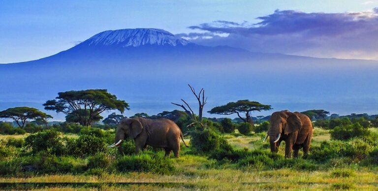 Amboseli National Park