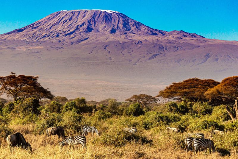Kilimanjaro National Park