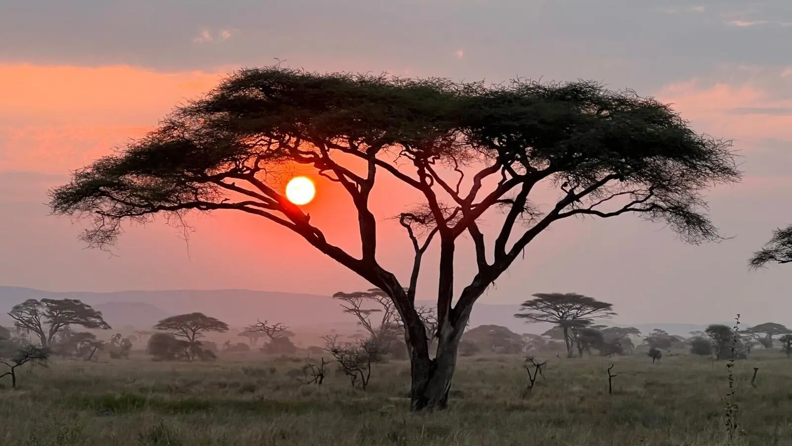 Maasai Mara National Reserve