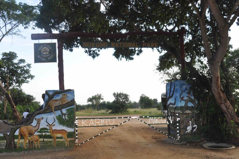 Mikumi National Park