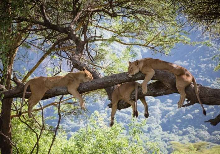 Akagera National Park
