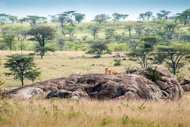 Serengeti National Park