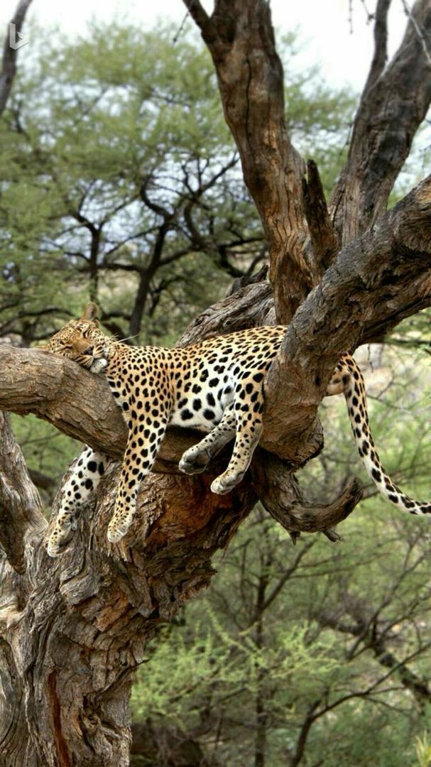 Serengeti National Park