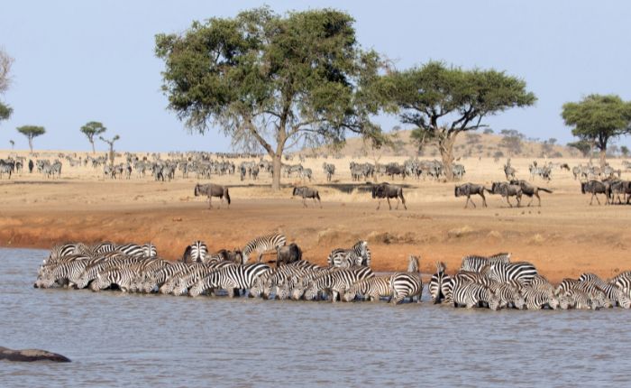 Lake Nakuru National Park